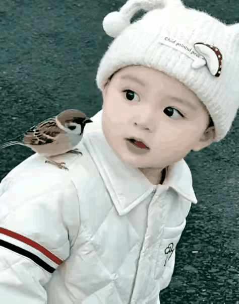 小女孩出生的时候因为难产没有了妈妈，所以她从来没有见过妈妈。和小朋友一起玩耍的时