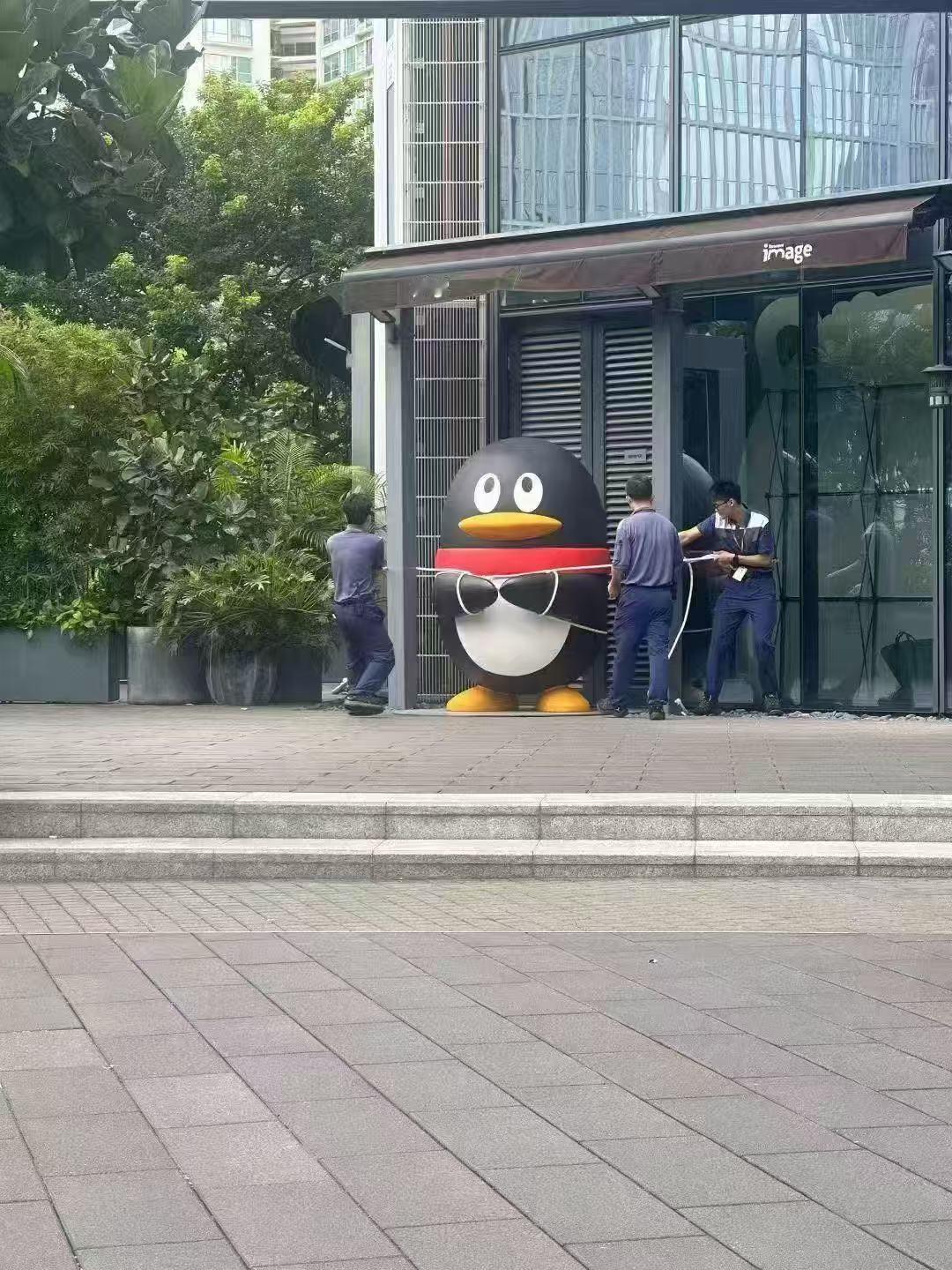 真的栓Q