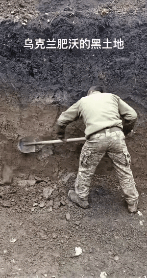 可惜了这么好的黑土地，竟然变成战场！乌克兰不愧欧洲粮仓，看这位士兵挖战壕，土