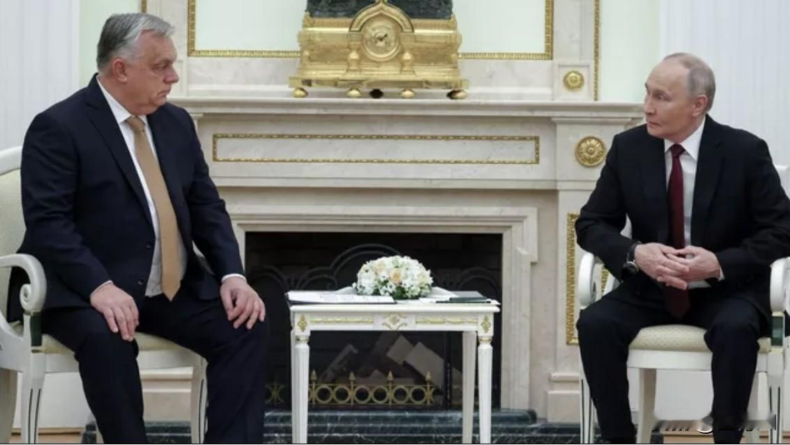 11月28日俄罗斯新闻社报道，弗拉基米尔·普京和匈牙利总理在克里姆林宫会晤，讨