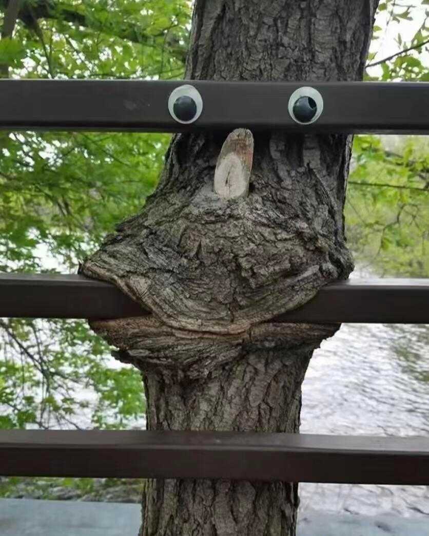 算了你们肯定觉得没意思​​​