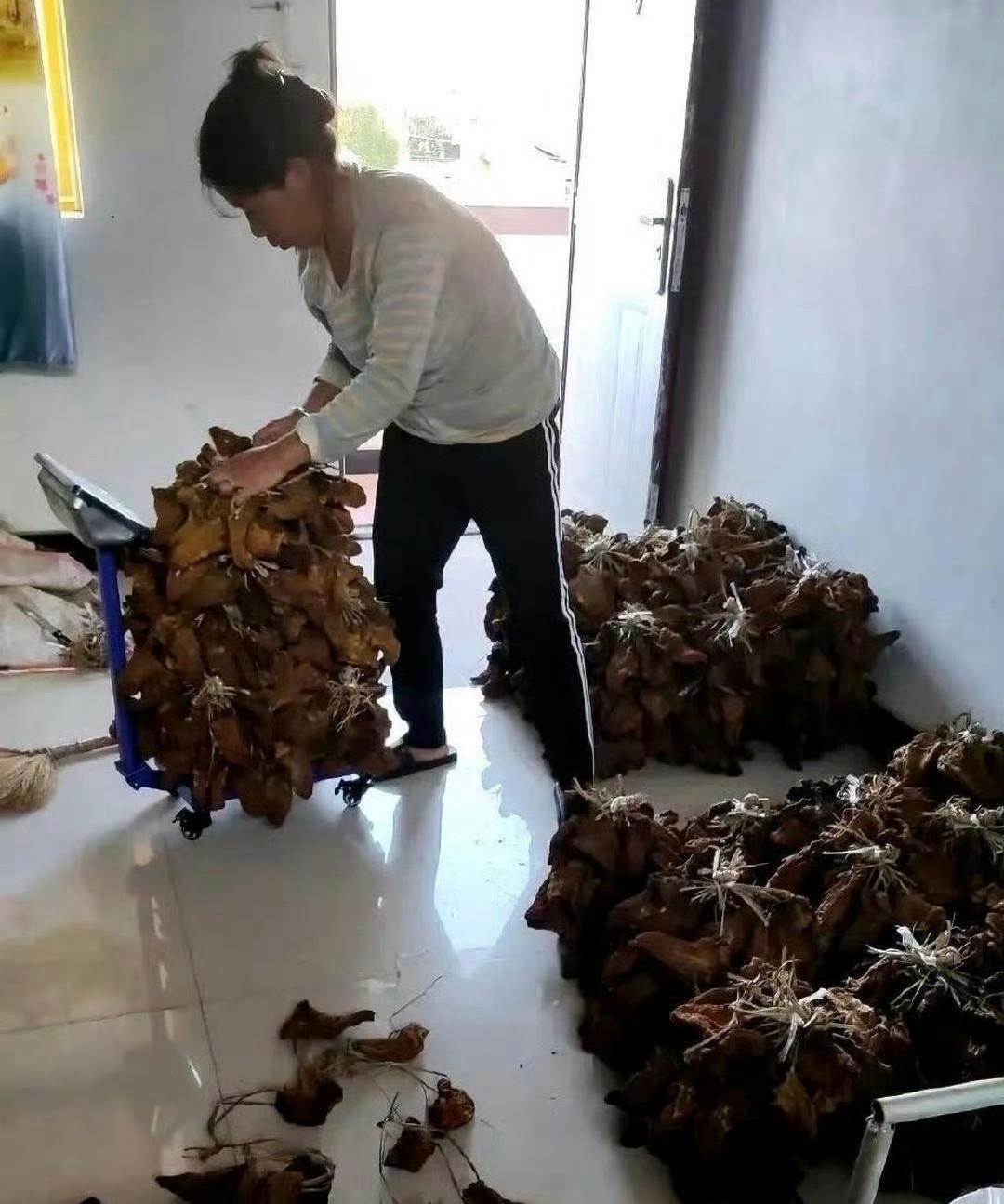 这才是真正的大户人家，太让人羡慕了