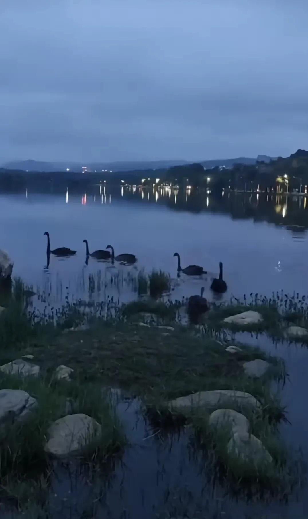 一段很有深意的话：“因为看清楚了世界真实的面目，所以他总是与这个世界保持一定的距