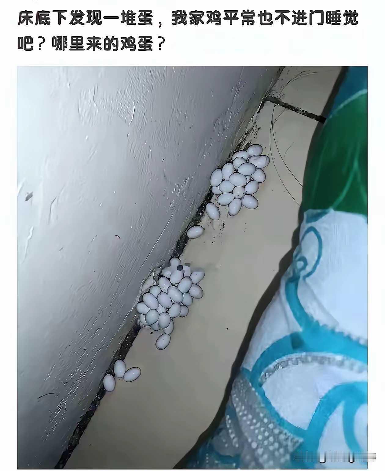 赶紧联系消防叔叔
