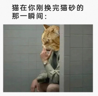 就是这么巧合