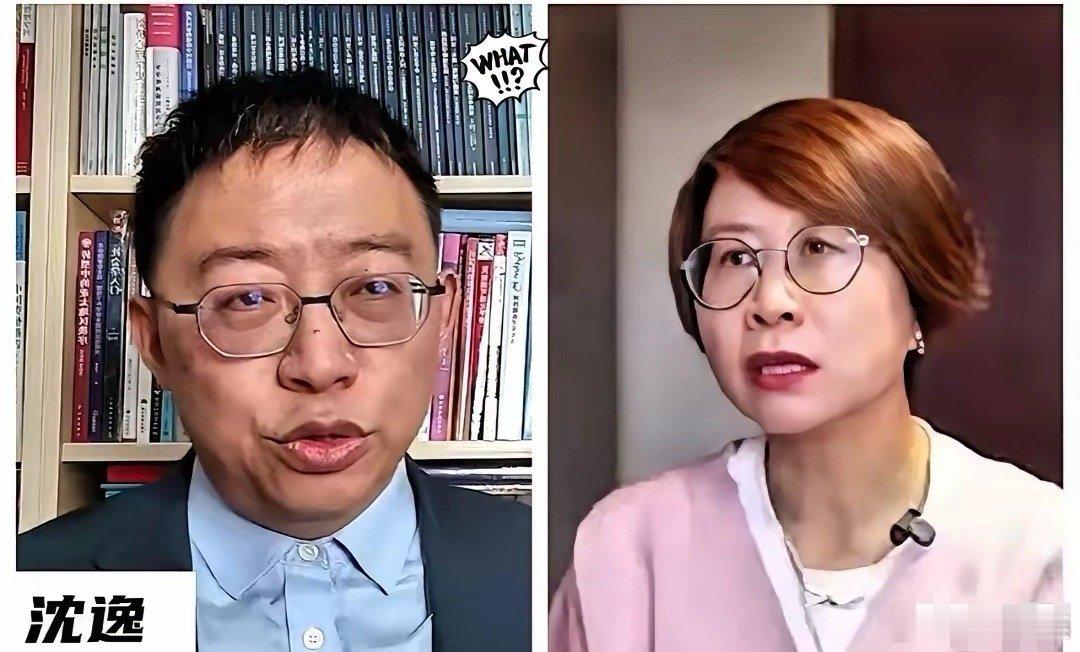 嘴上人权、心里生意！赵宏这事儿挺让人唏嘘——被瑞典连续近20年的资助“绑”住了手