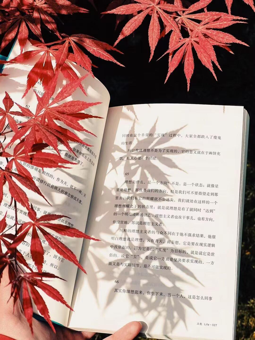 所有漂泊的人生都梦想着平静、童年、杜鹃花，正如所有平静的人生都幻想伏特加、乐队和
