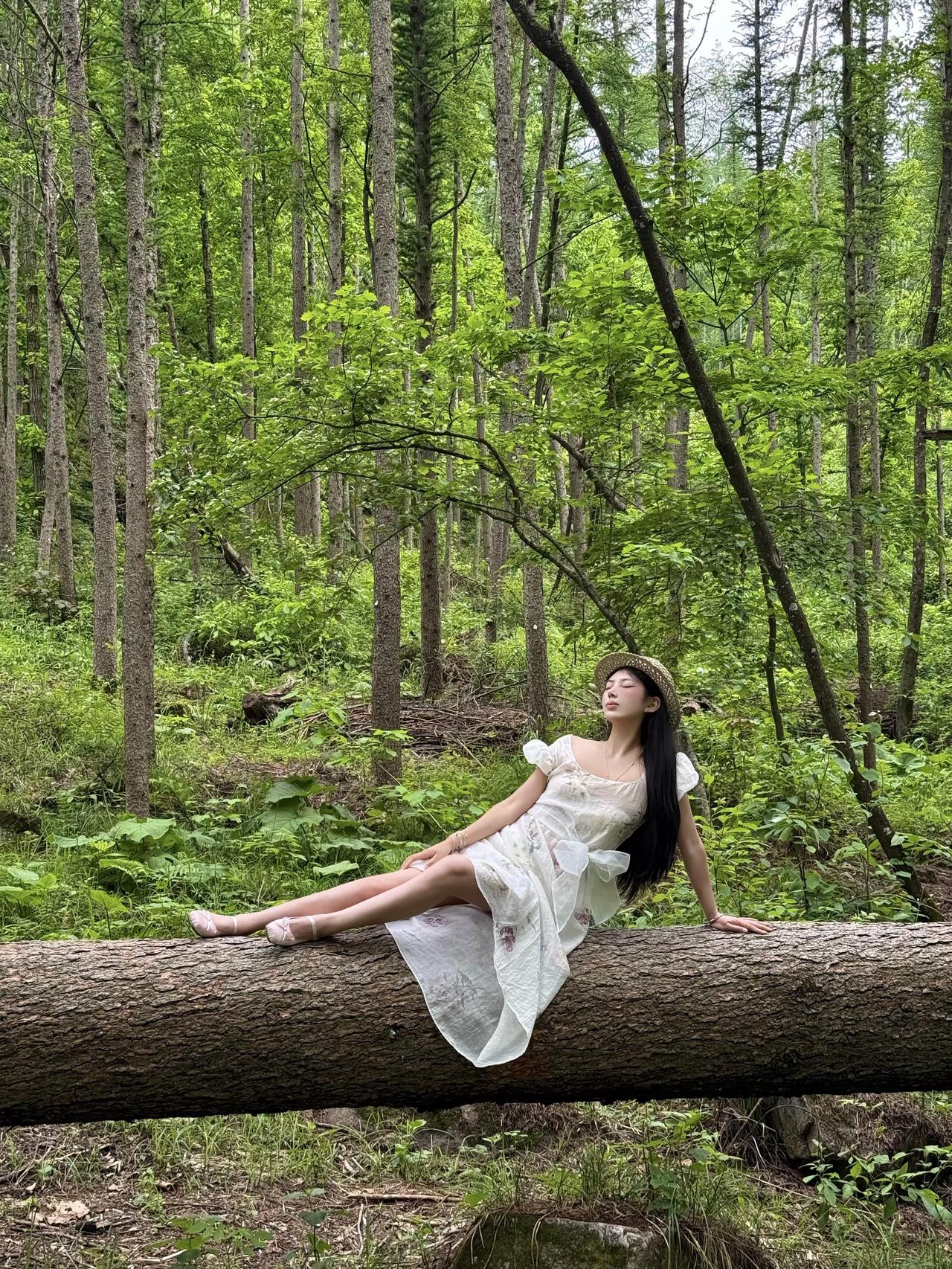申公豹说：“水太深，风太大，没有势力少说话。你要是看不清风向，一张嘴，就