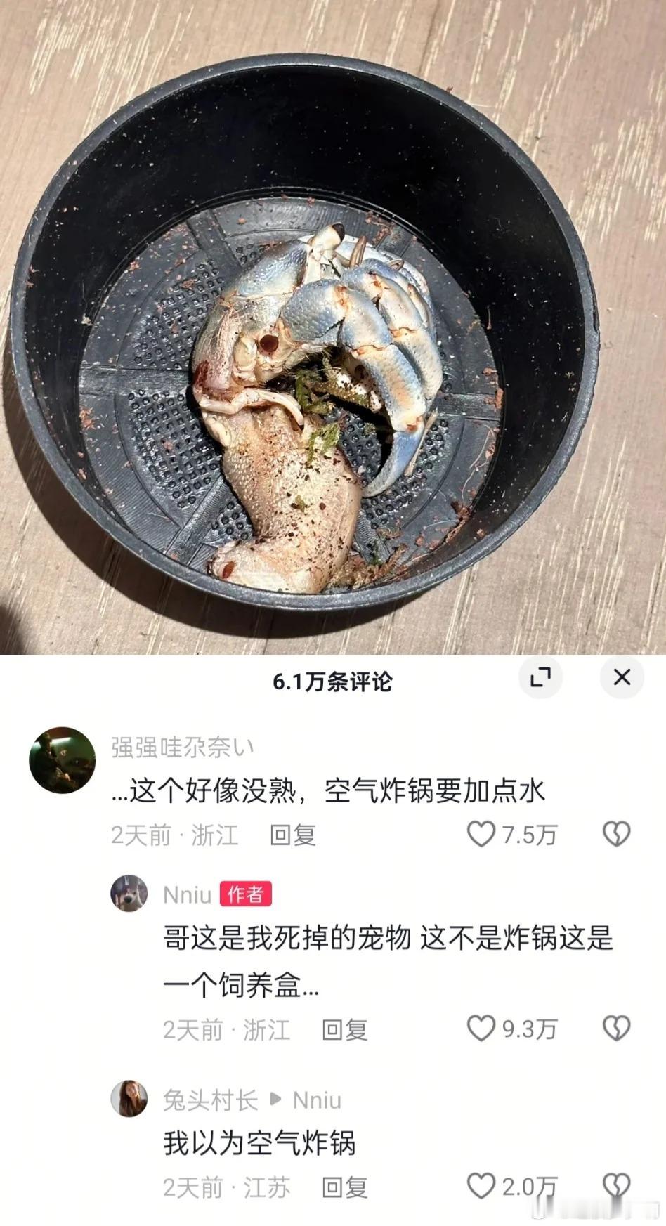 我不行了，深井冰啊[笑着哭]谁懂啊搞笑神评论​​​