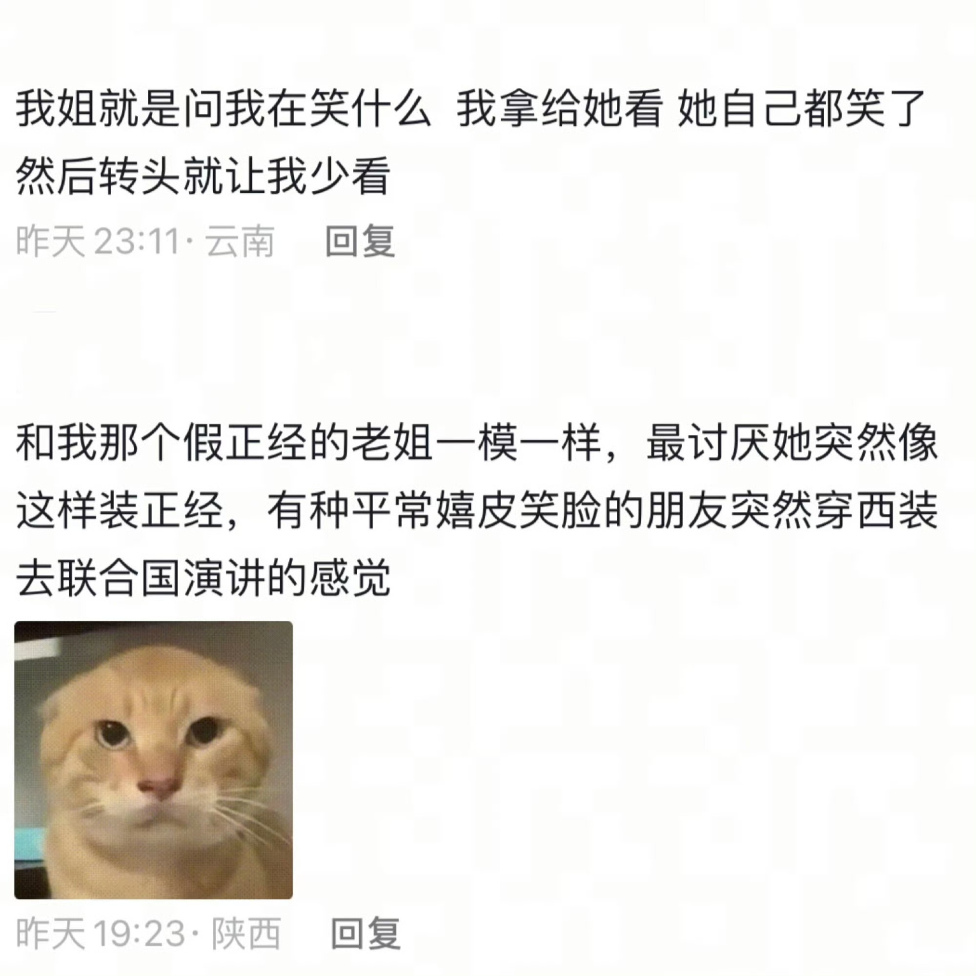 和我那个老姐一模一样