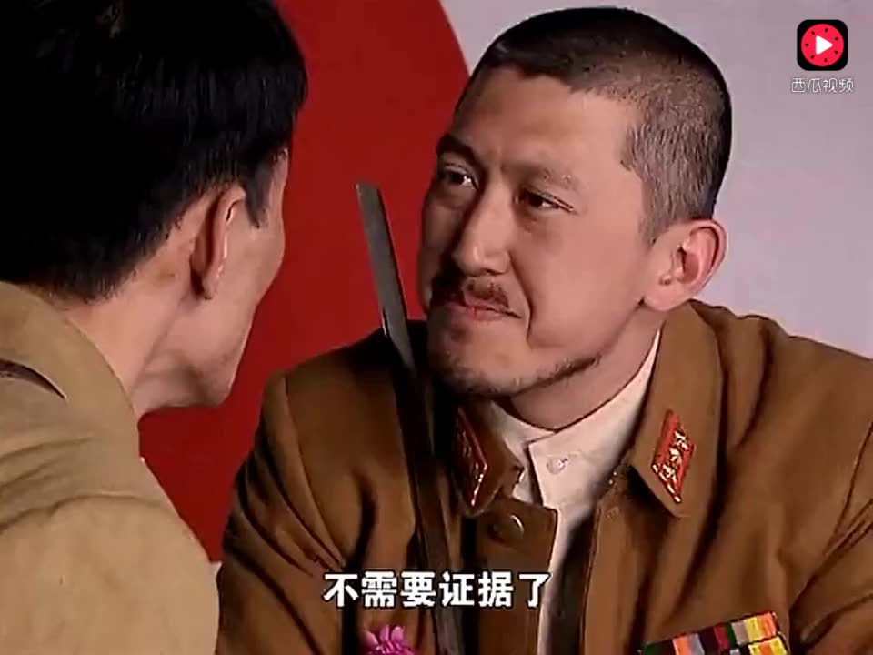 电视剧《双枪李向阳》(张嘉译 赵纯阳 郭月 范