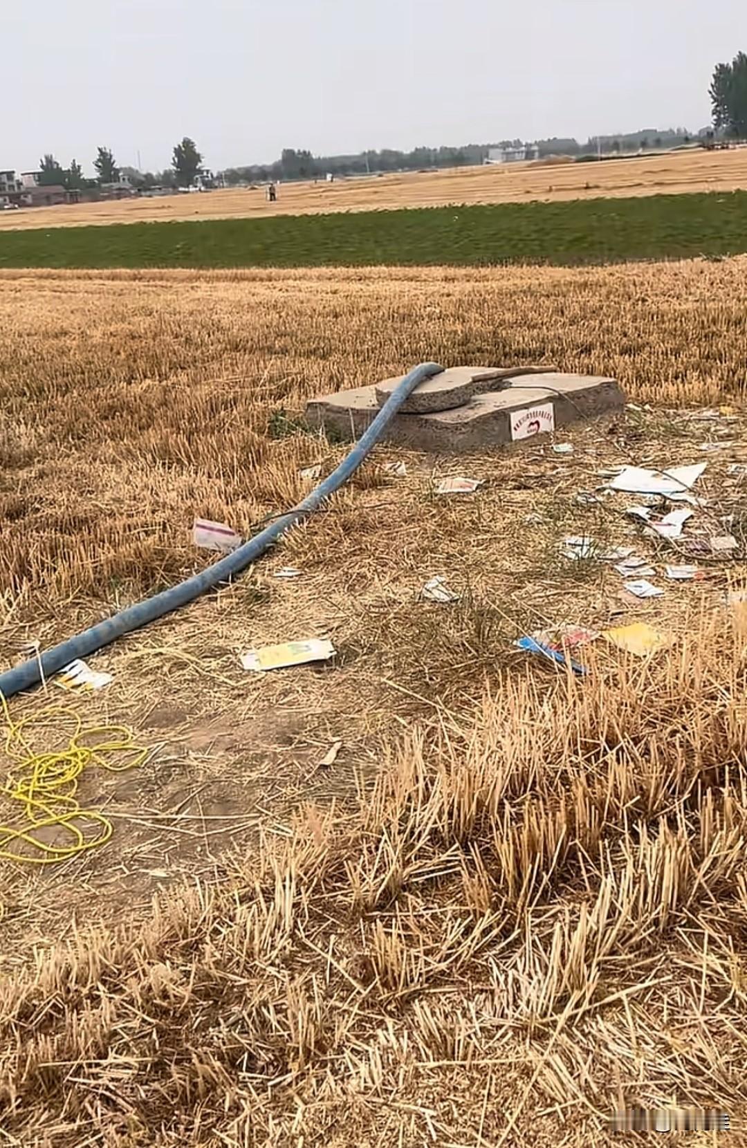 比亚迪作为新能源汽车的巨头，一直引领着新能源汽车技术的发展。科技以人为本，二十多