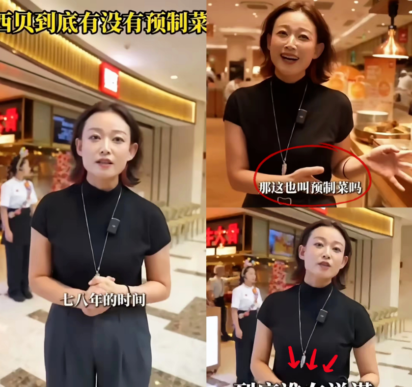 西贝最强女公关来了，这个是真漂亮的，一上来就火力全开怼罗永浩，说自己20