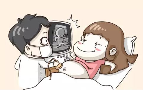 B超室里, 医生暗示胎儿性别的话太委婉了, 半天才反应过来!