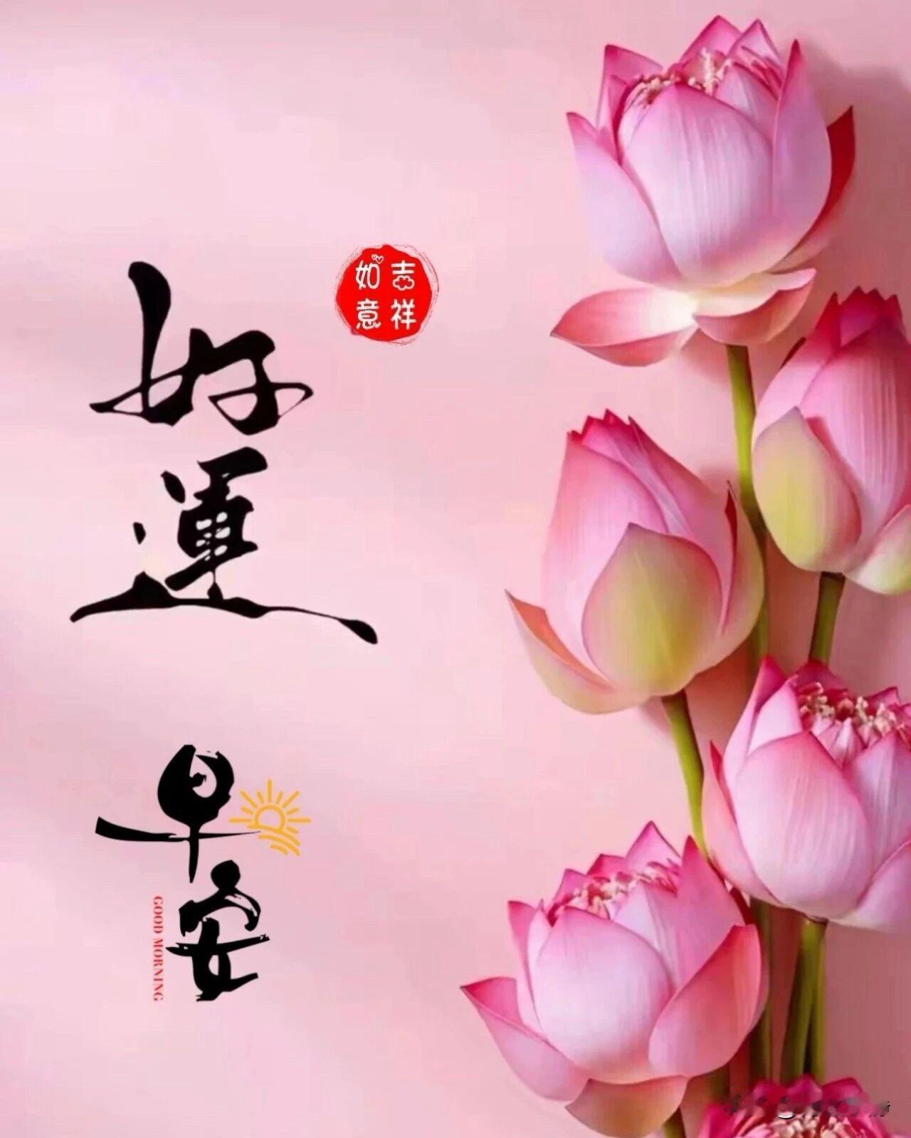 🍃²⁰²⁶/₀₅.₁₇ᵕ̈周日早安☕️🍒🍊🌼温柔予你，慢度清欢🌸