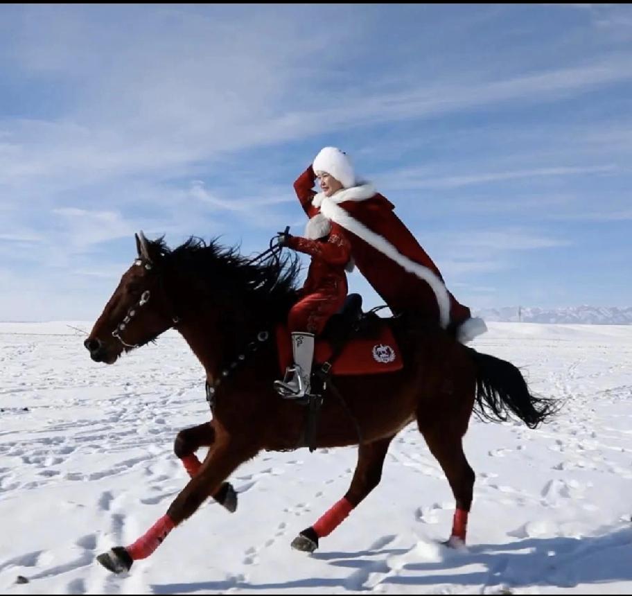 贺娇龙，四川射洪人，生于1979年12月。她是老中专生，1999年参加工作，那个