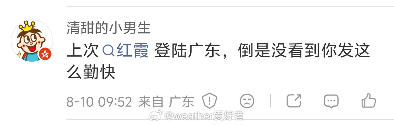 妈呀台风红霞我每天也是20条左右的微博好吗？而且红霞没有台风白海豚这么复杂，这么