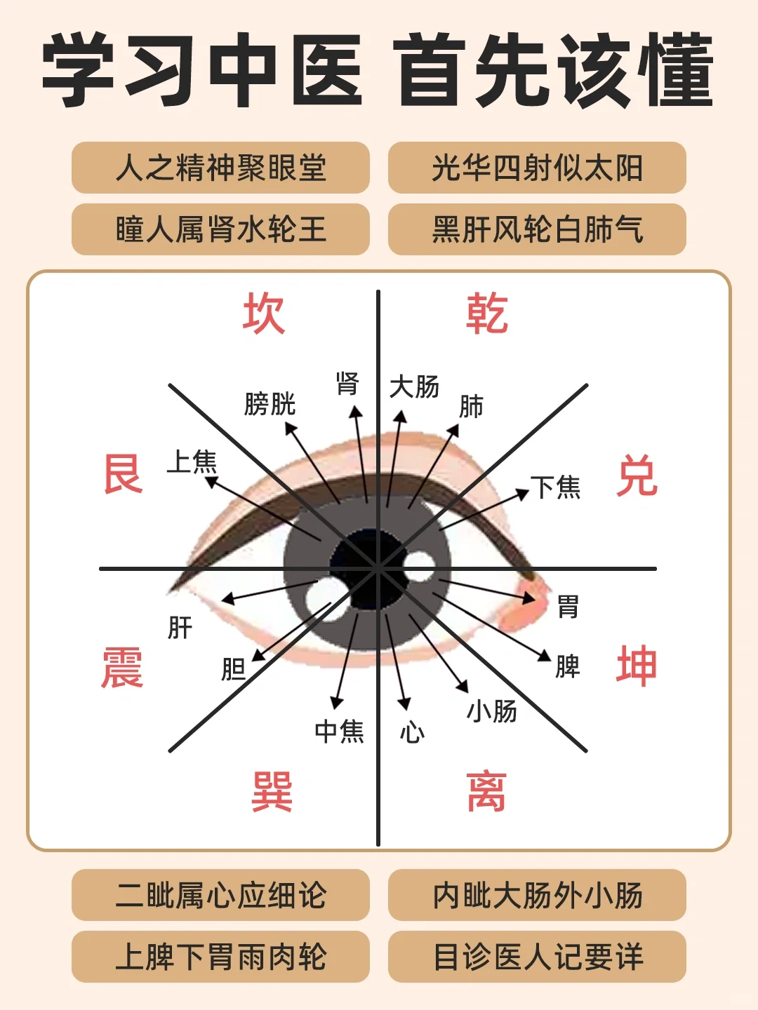 《黄帝内经》｜看眼识病，从眼睛看五脏六腑