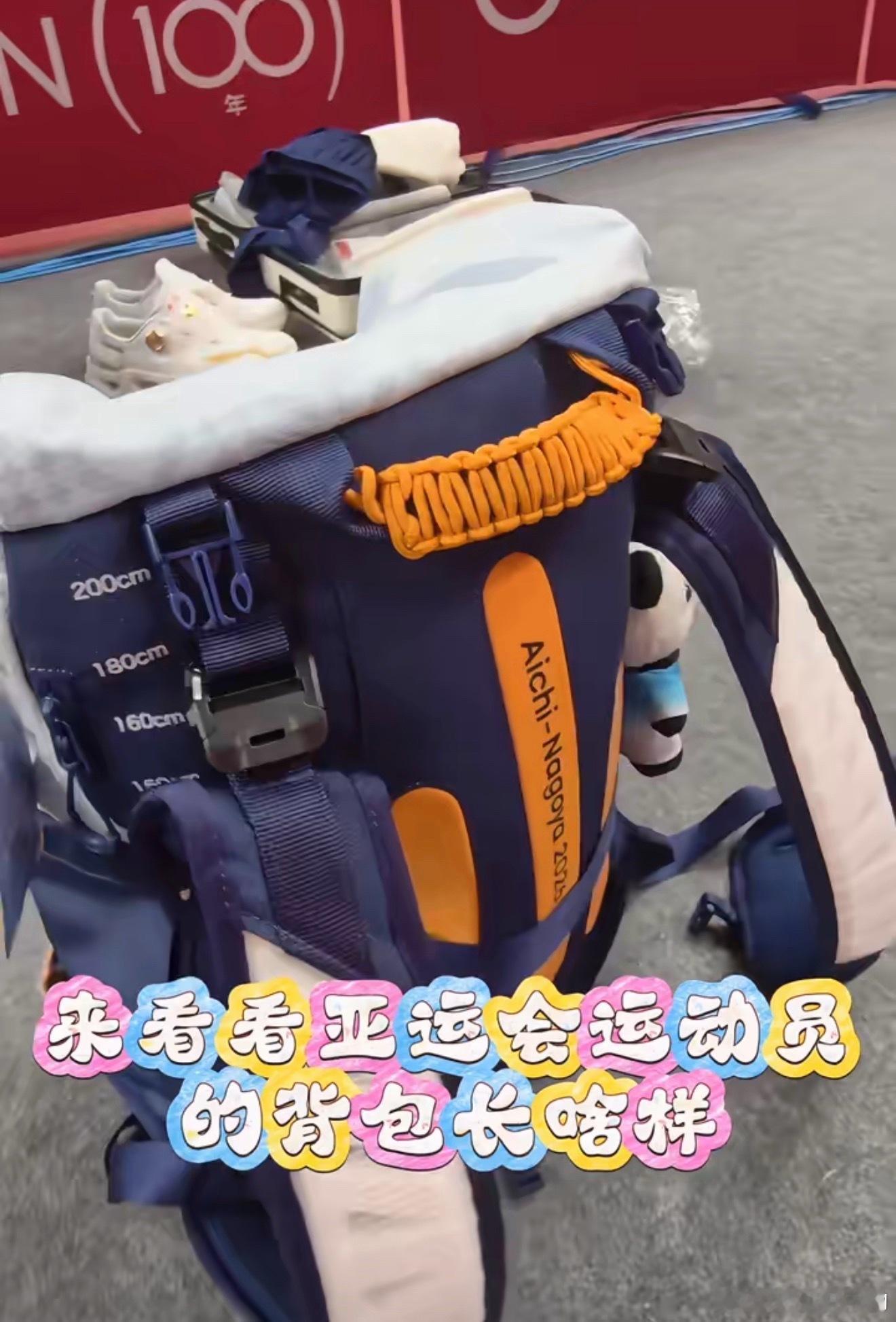 看到了头头的小箱子​​​