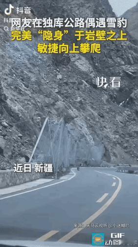 太幸运了！新疆独库公路，一对自驾游客意外撞见野生雪豹，画面直接冲上新华社热搜