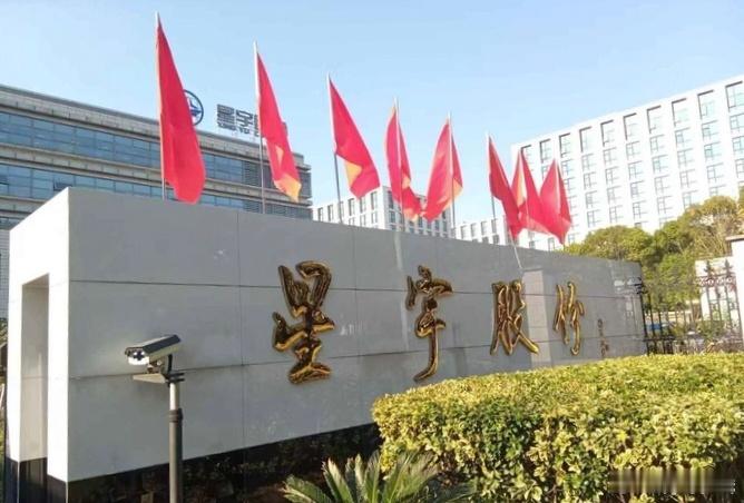 星宇股份又出错了星宇股份两周已道歉四次A股上市公司星宇股份再度爆出年报低级数据乌