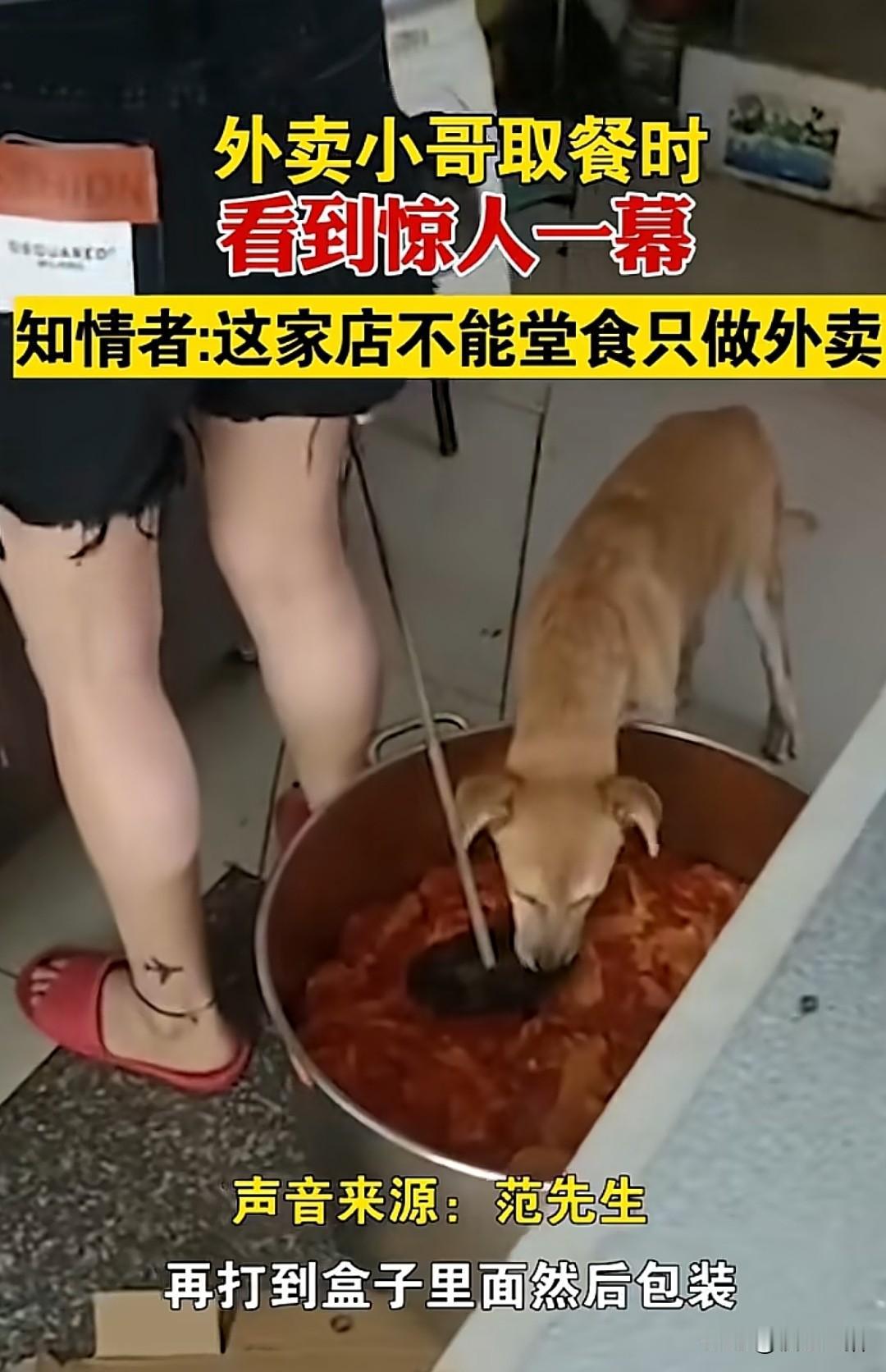 外卖小哥爆料慎重点“只做外卖不做堂食的店”，里面的卫生差到你不能想象。外卖小