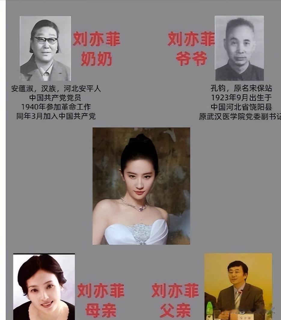沉默的父亲，热搜的风暴，被删掉的简历。最近网上全在说刘亦菲妈妈多不容易，可她爸