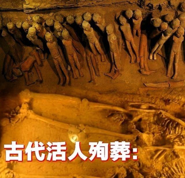 你以为古代殉葬的人，被封进墓穴后就坐着等死，实际上他们为了活下去会尝试所有办法，