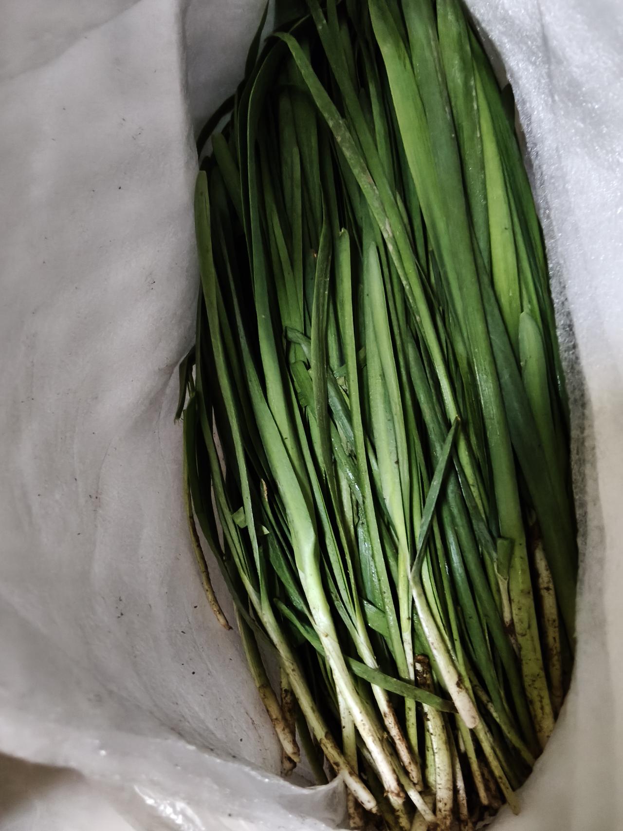 有网友说预制菜其实比现炒菜要吃的放心和安全。但是我却不同意这样的观点，你是觉