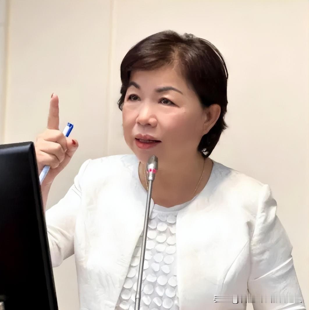 杨琼璎突然宣布参选，直接把江启臣的“接班梦”炸得粉碎！很多人以为这是党内民主竞争