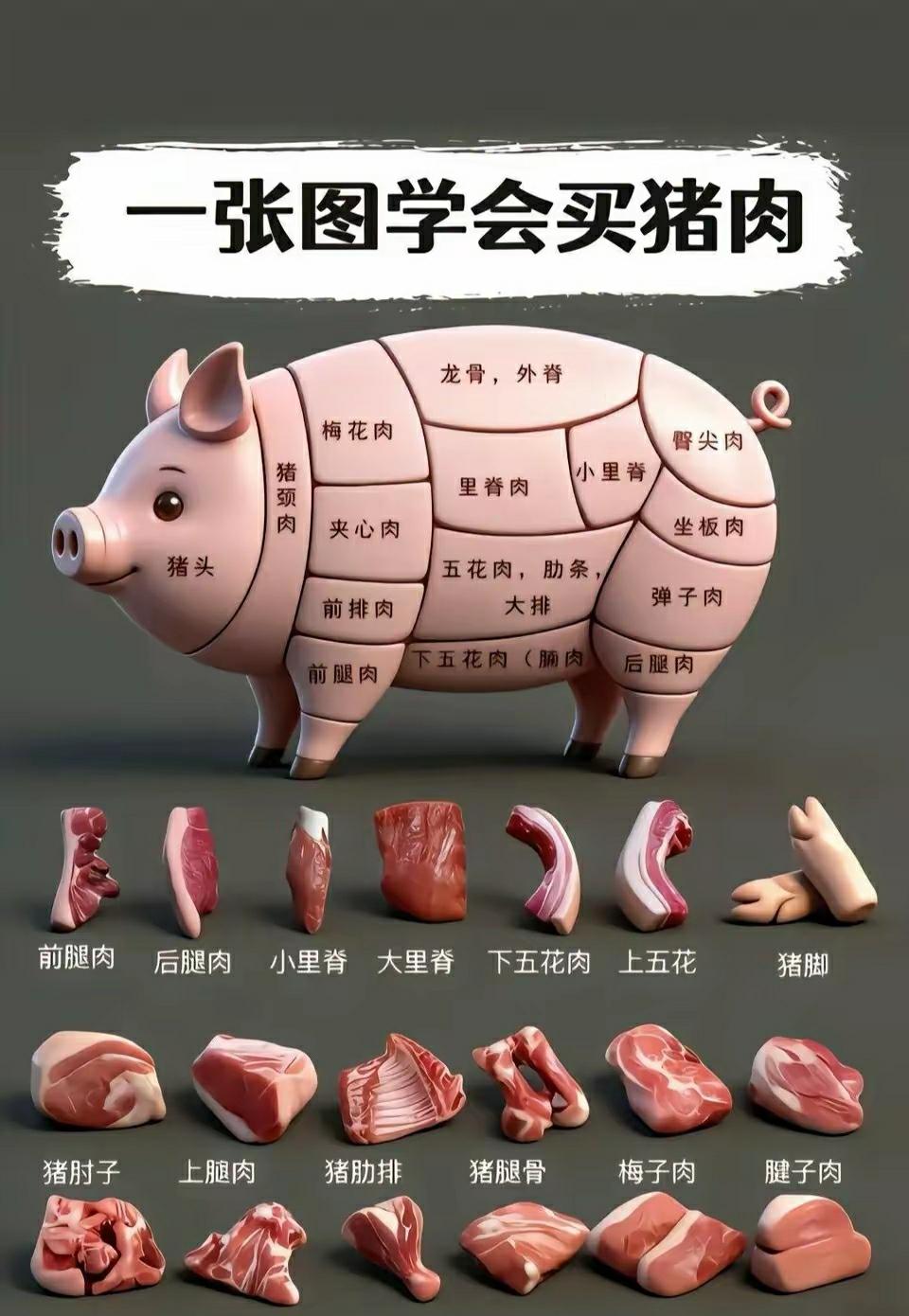 猪一身都是宝，为人类做了多大贡献？猪肉应该是我们中国人（非素食者）补充营养的最