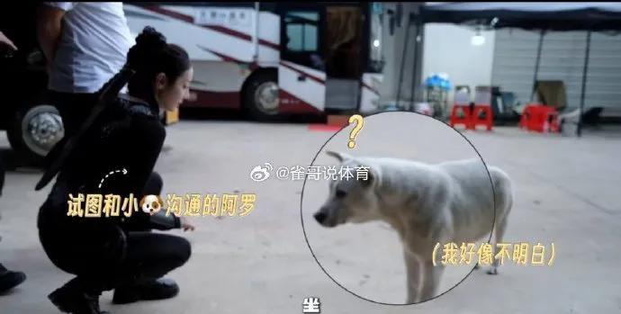 救命！迪丽热巴连狗都能唠出八百个故事！谁懂啊！迪丽热巴私下逗狗的画面太治愈了！