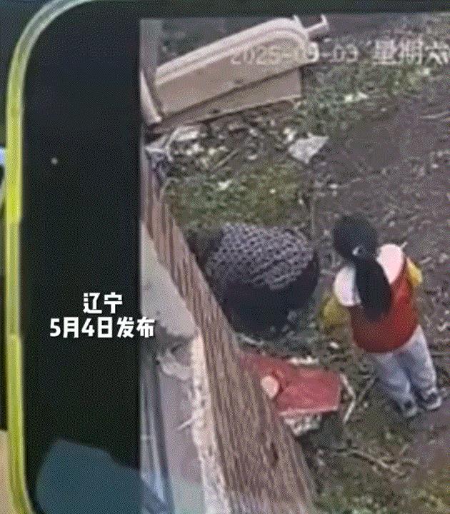 无奈。辽宁，一老人带一个小女孩来到别人家地里，瞅四下无人之际，老人竟当着孩子的面