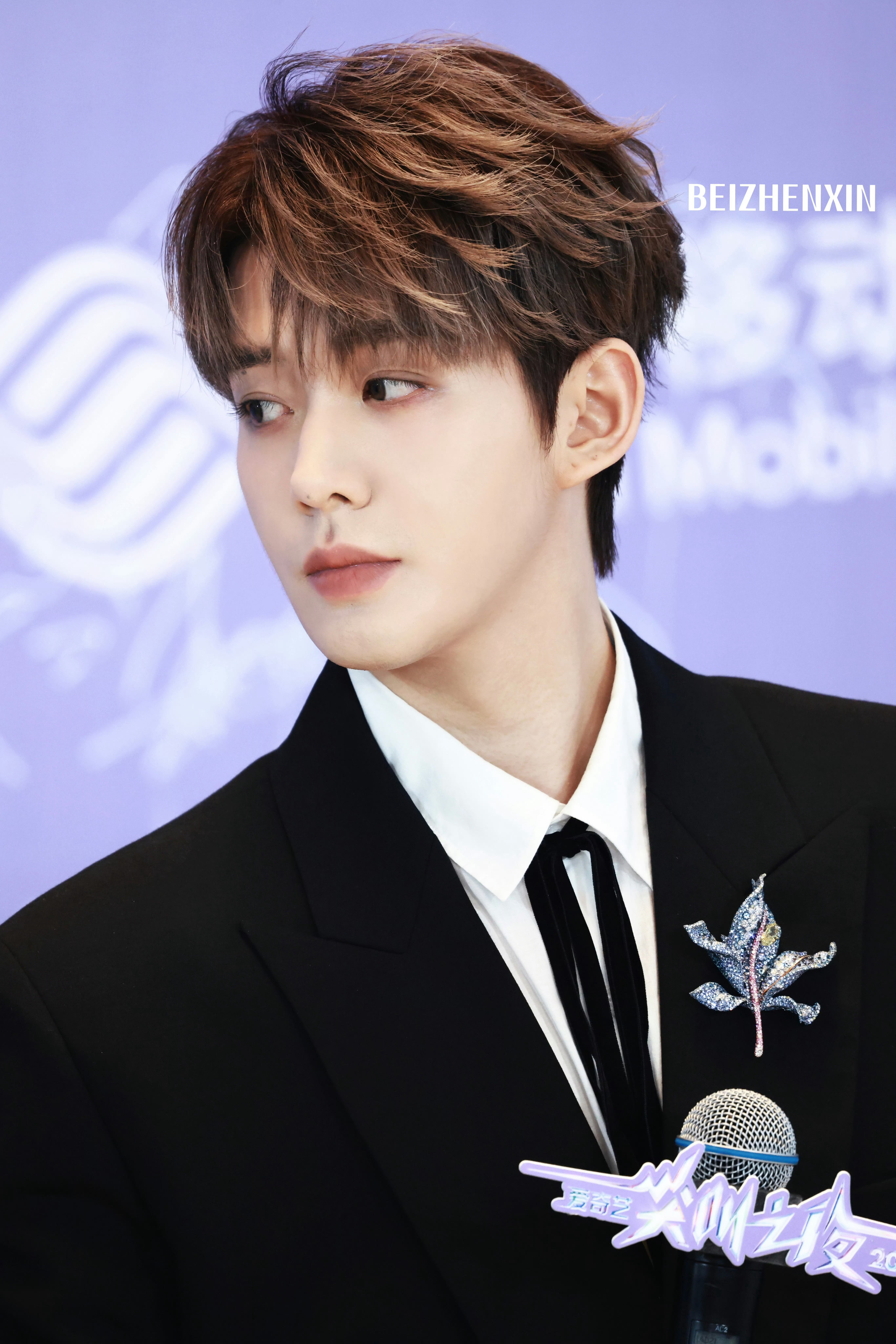 Day24印象最深刻邓为语录：大声喊：“钻石们，我爱你们！”“感谢我的钻石💎来