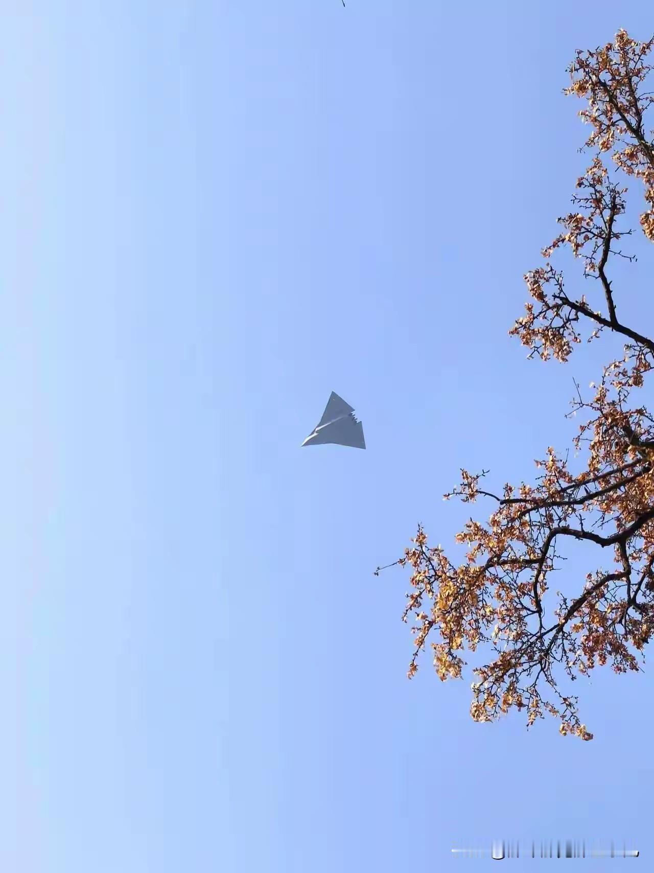 55吨级的银杏叶如果内外满挂出击，能带多少弹药？这款飞翼设计的6代机，堪称“