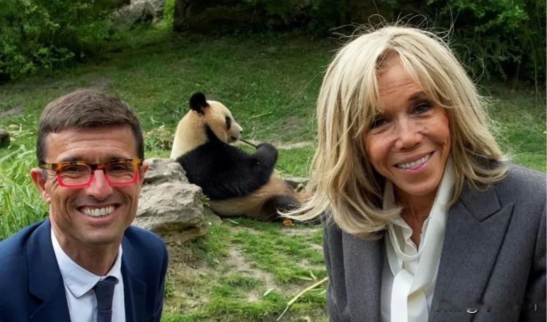 我问我妈，为什么马克龙要去四川成都。她的回答让我恍然大悟！原来马克龙和他的