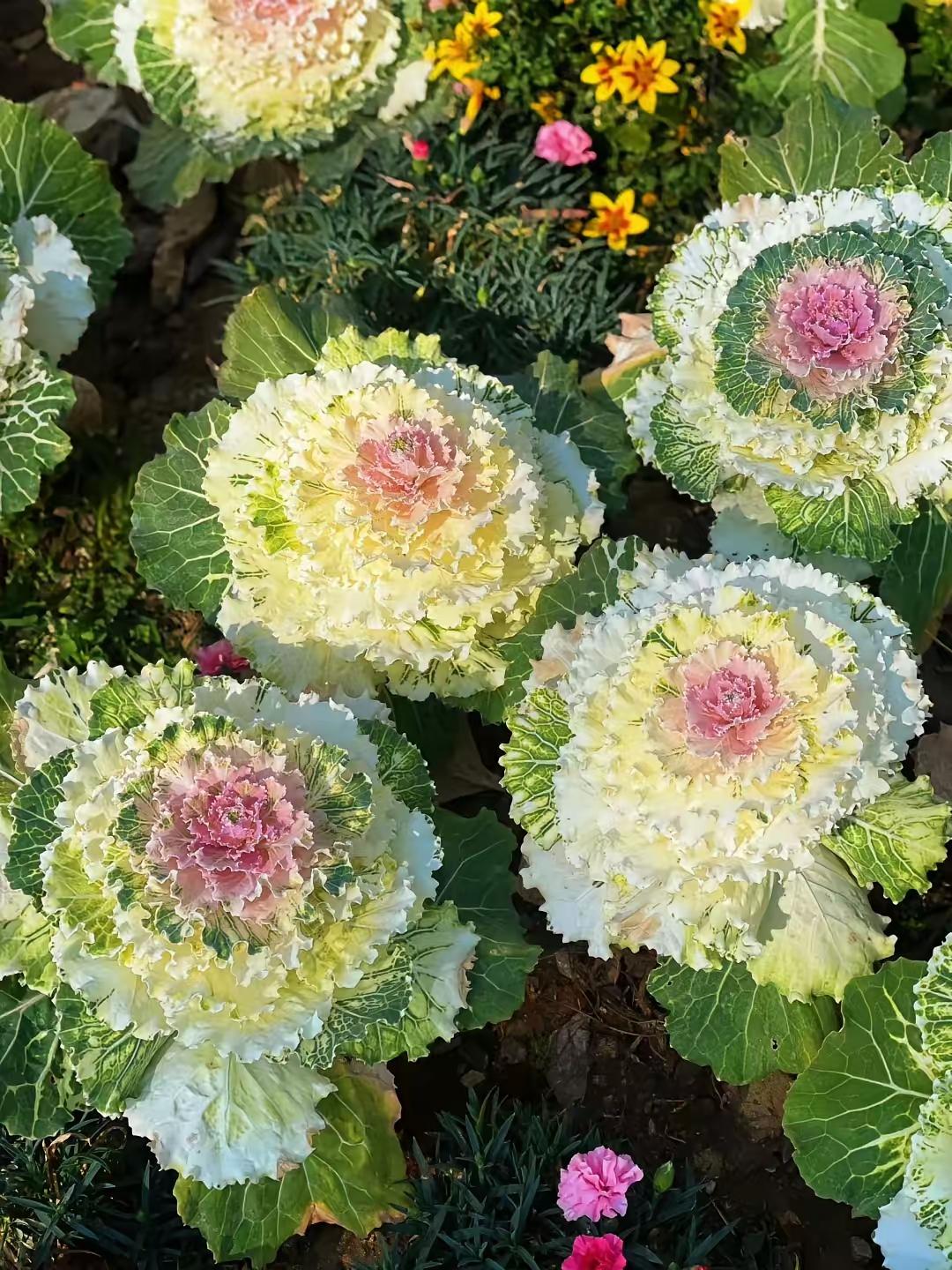 一位火葬场工作人员直言：人走后，火化即可，不必执着领回骨灰，交给火葬场统一处理就