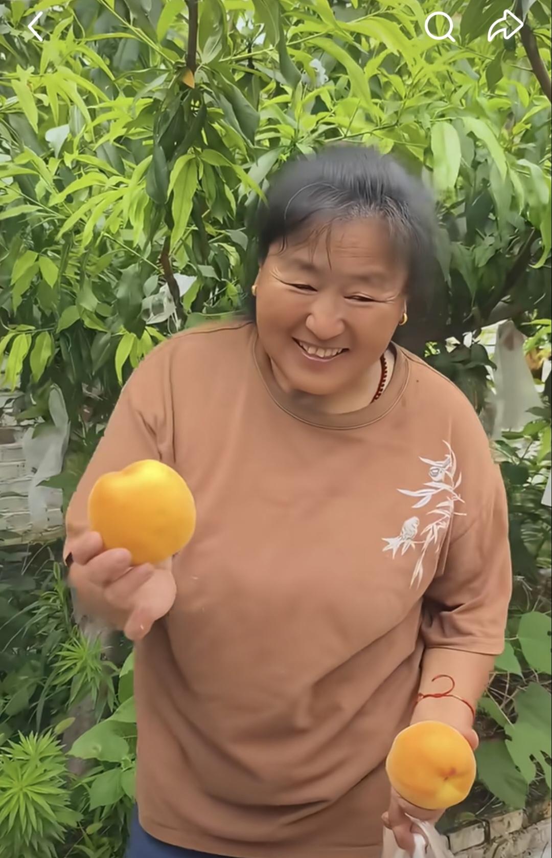 采摘黄桃的大衣嫂！朴朴实实，本本分分。富裕了不忘本，依然是那个朴实的大衣嫂。黄色