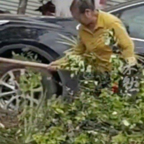 广西贺州的一段视频在网上火了：一位老人在路边的绿化带里，不仅挥着锄头刨土，还像模