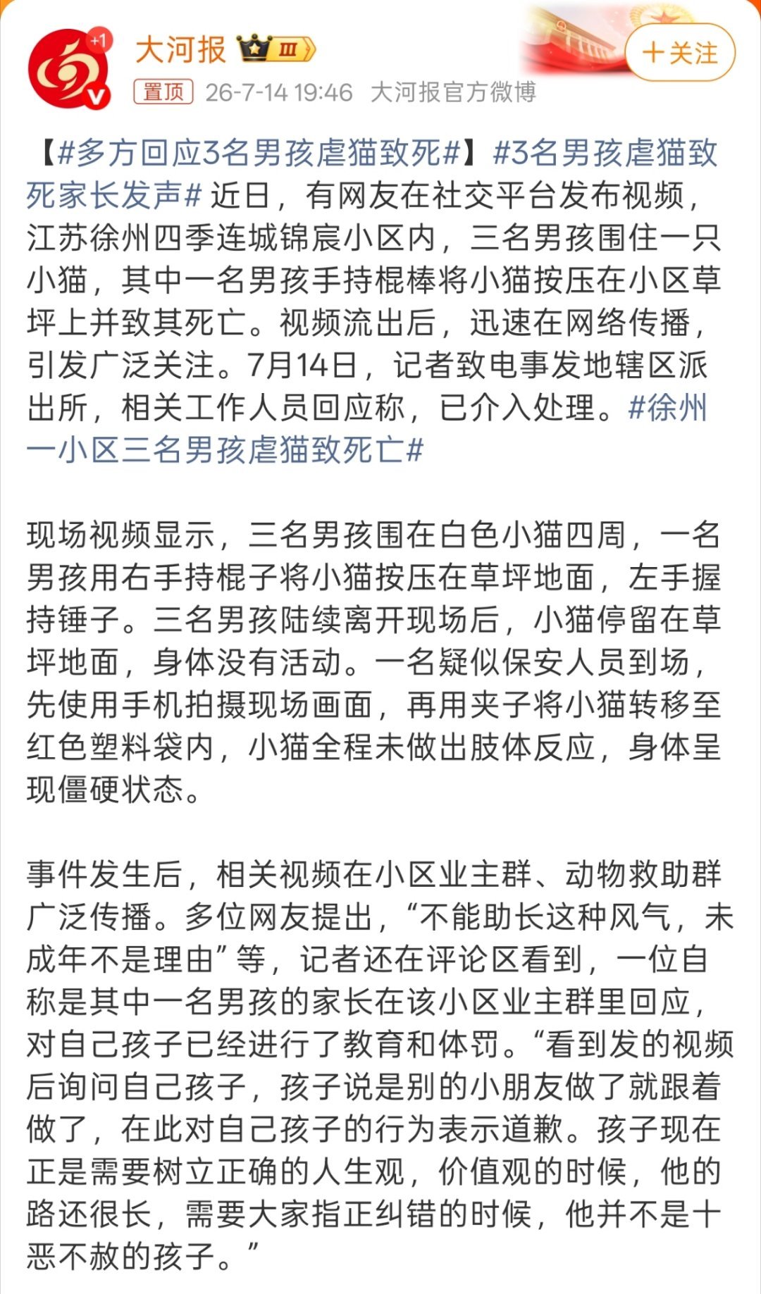 3名男孩虐猫致死家长发声有一说一，能在这么大年纪拿棍棒打死小猫，咋感觉一点小孩子