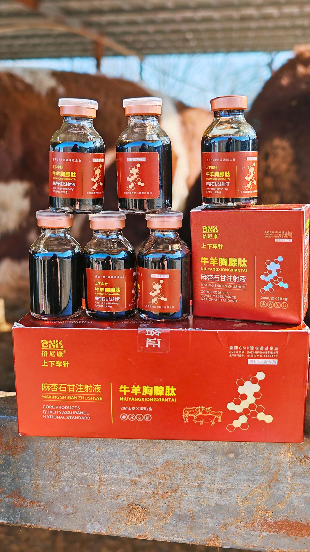 养羊人牛羊养殖养殖场专用农村养羊