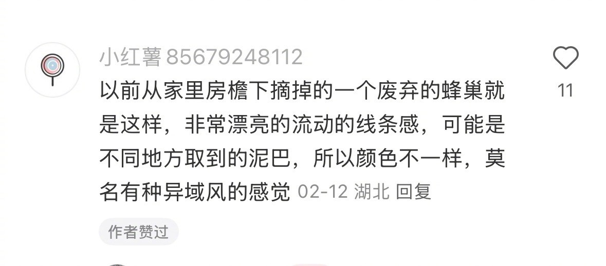 被蜂巢的结构美学惊到了