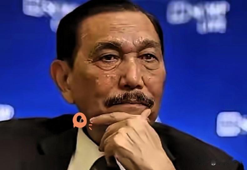 印尼经济大管家卢胡特这次是真的沉不住气了，直接当着总统的面把话挑明：不管你们心里