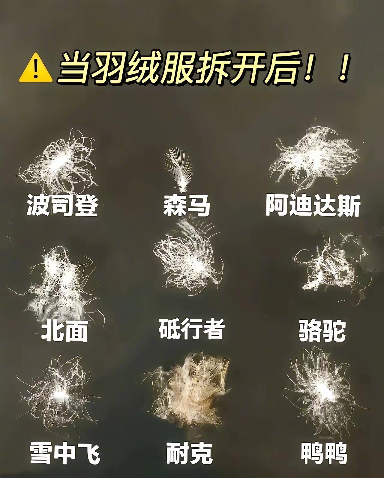 没想到羽绒服的填充绒每一家都不一样。话说回来，只要填绒量克数差不多，保暖度相差不