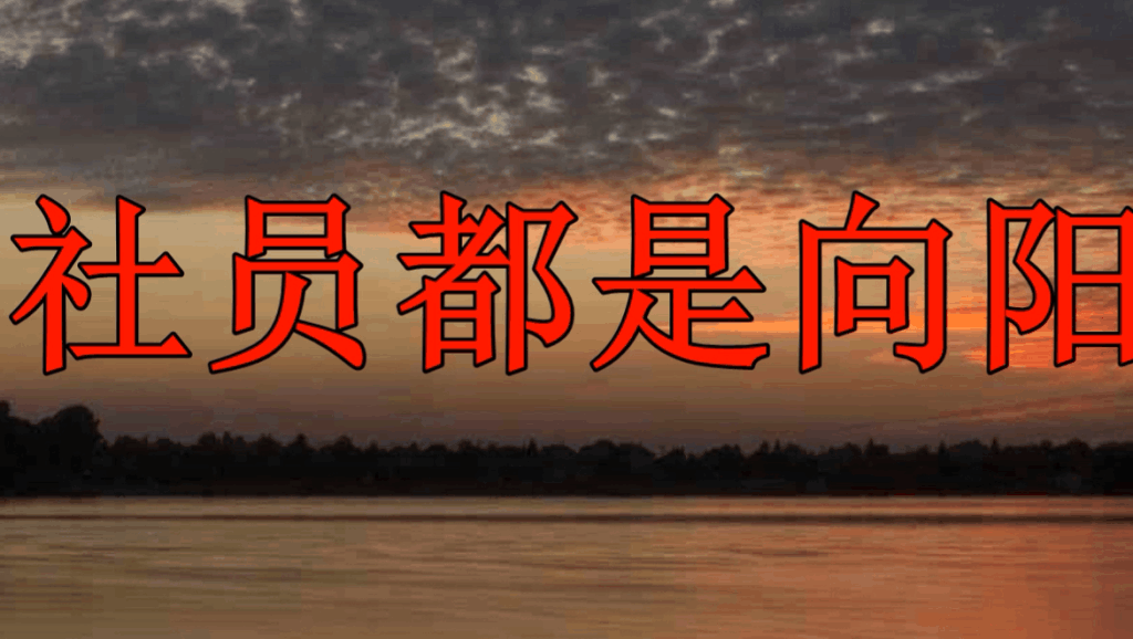 赤脚医生向阳花简谱_赤脚医生向阳花图片