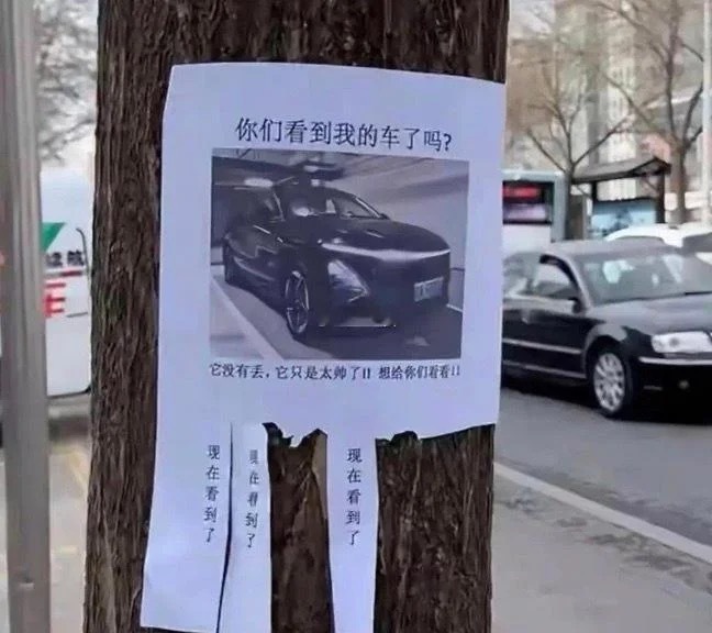 还真的被他装到了，车主一定是个逗比。