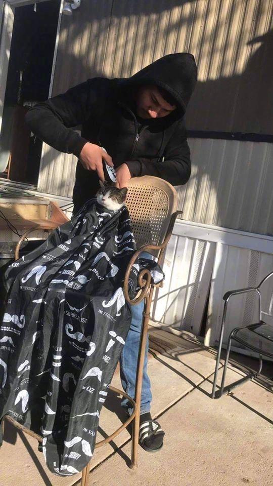 剪不好，后果会很严重...