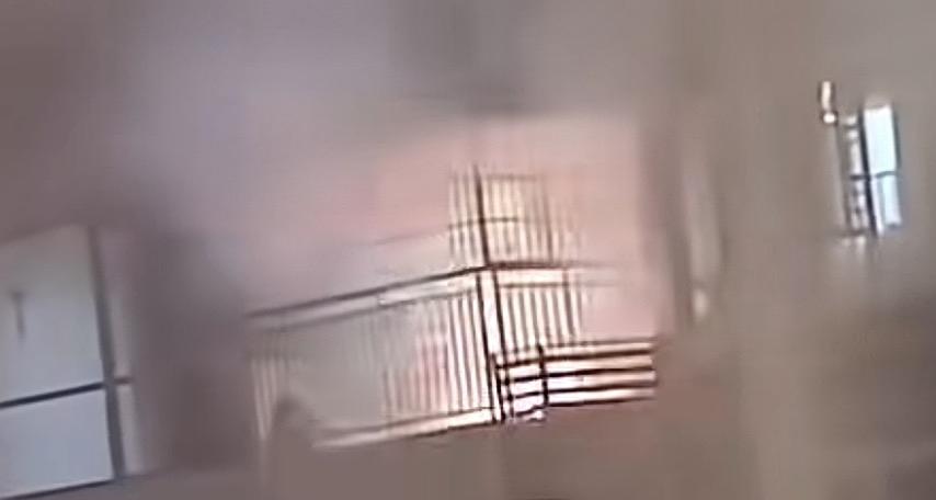 哈哈哈哈，刚刷到这哥们挺狠啊，很多地区外面不能放炮，于是就在屋里放？！真的假的啊