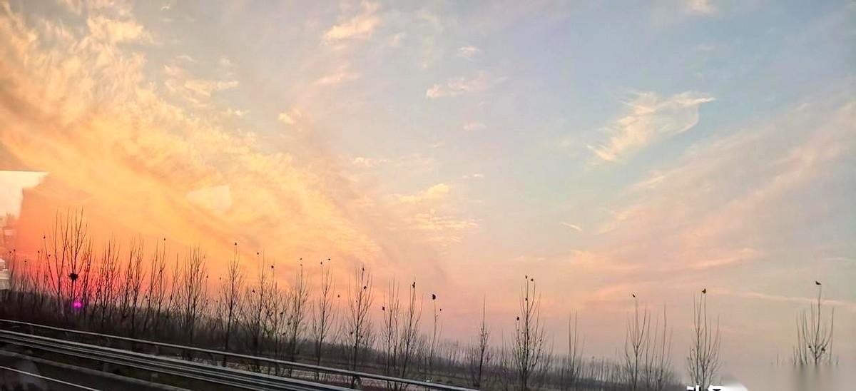 我跟你说，“孝顺”这两个字，有时候真能把人活活架在火上烤。老姨脑死亡一个多月了