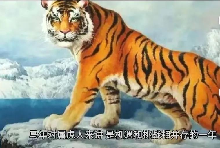 2026丙午马年，属虎人核心注意事项2026年火旺，属虎人寅木遇午火易被泄